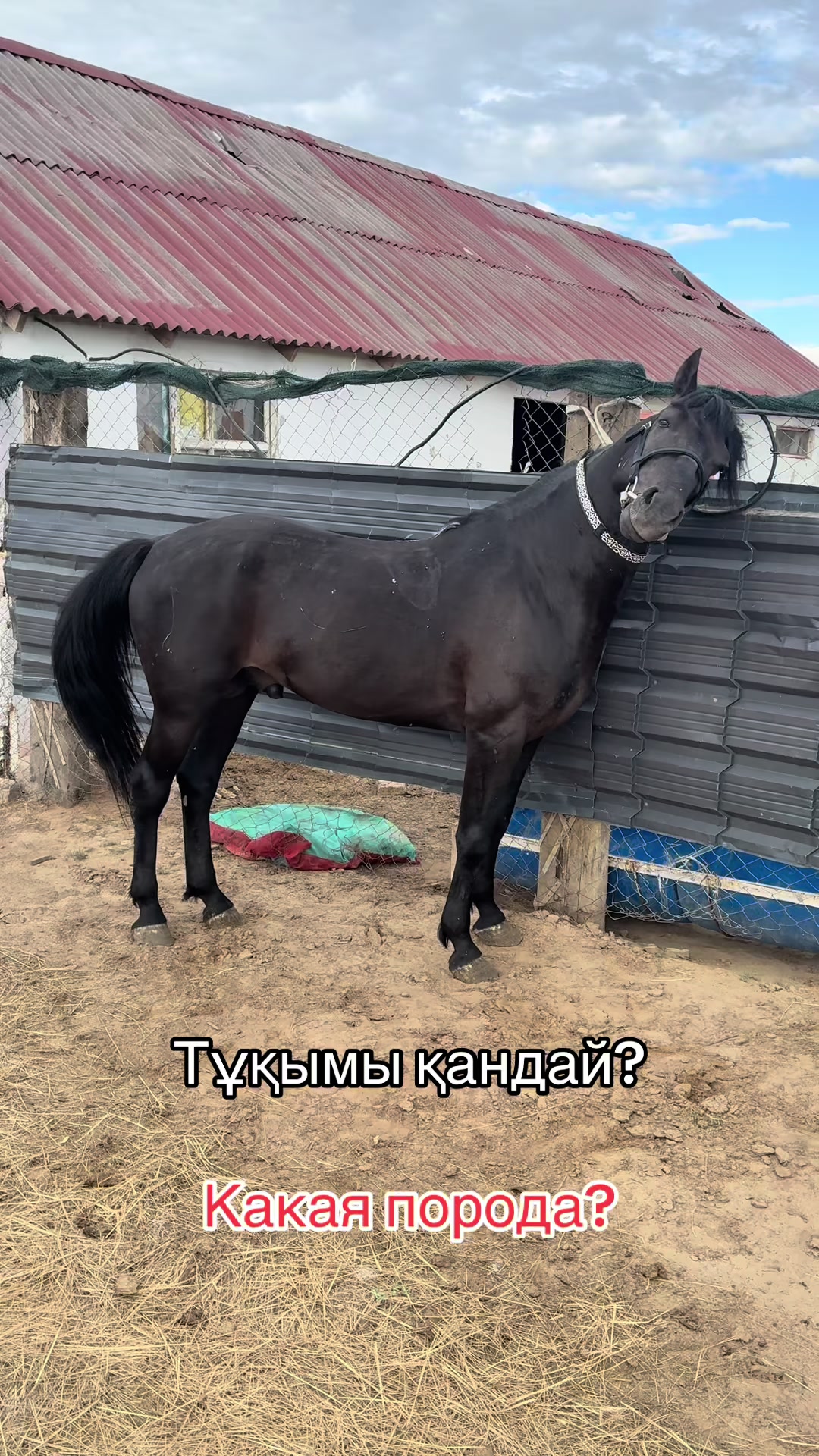 @Guw.welder