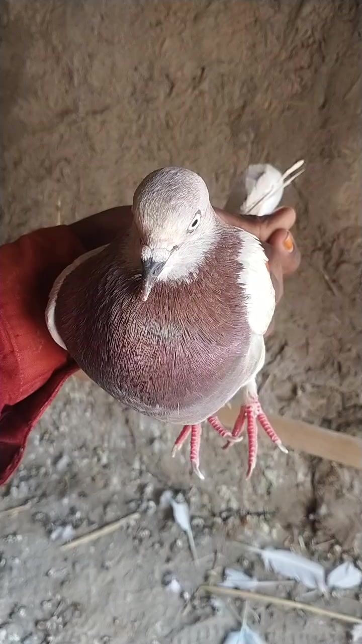 @❤️❤️❤️❤️❤️❤️❤️❤️❤️🌹🌹🌹🌹🌹👌