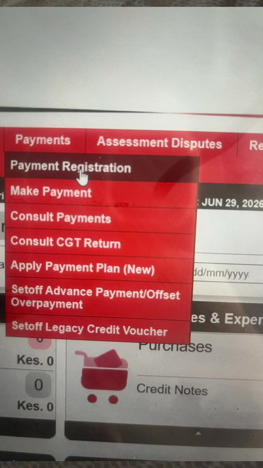 @CPA(K) Fiona Witaba