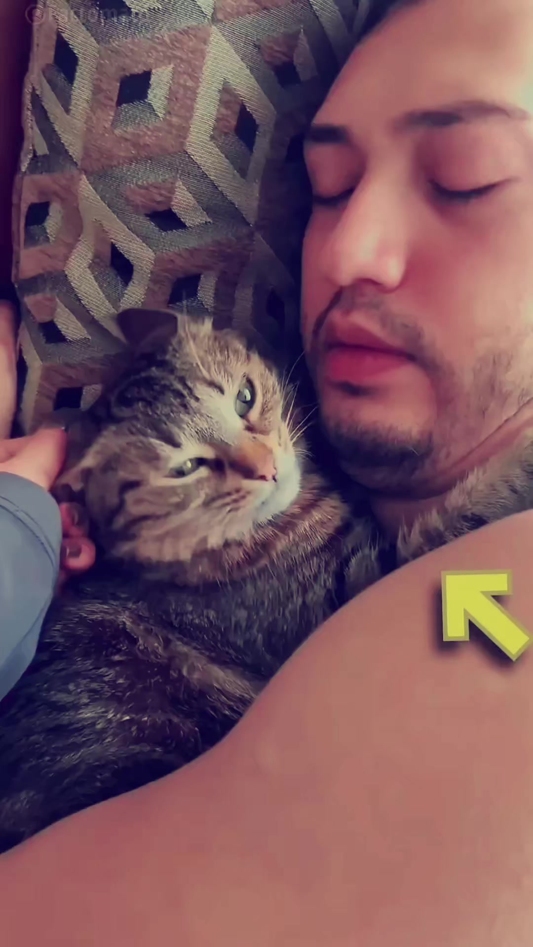 @Jivorix