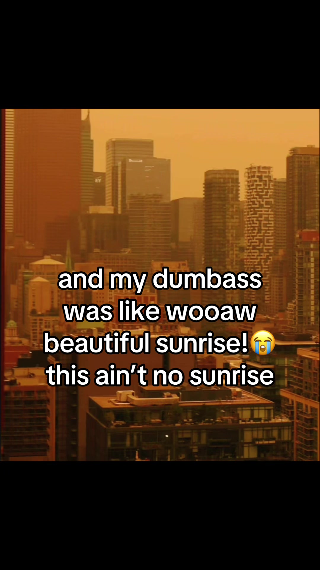 @Donnie Darko