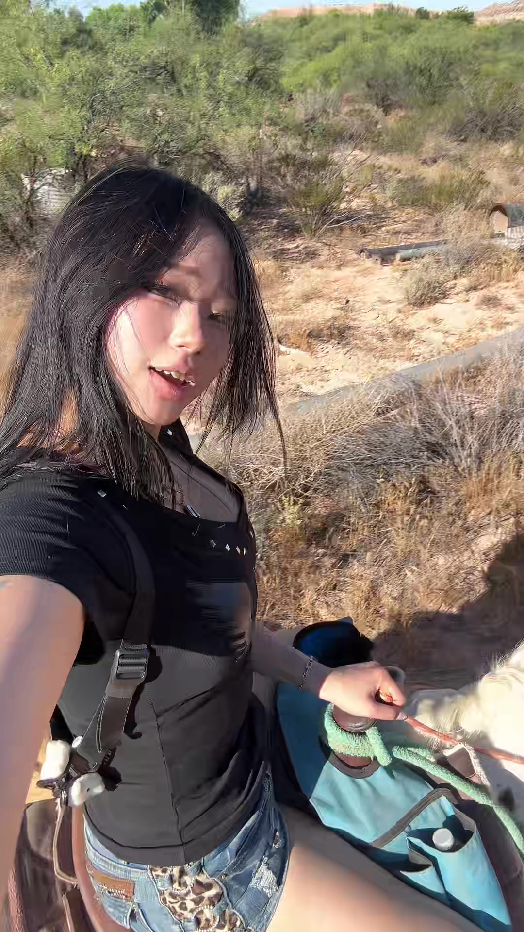 @Annie Zheng