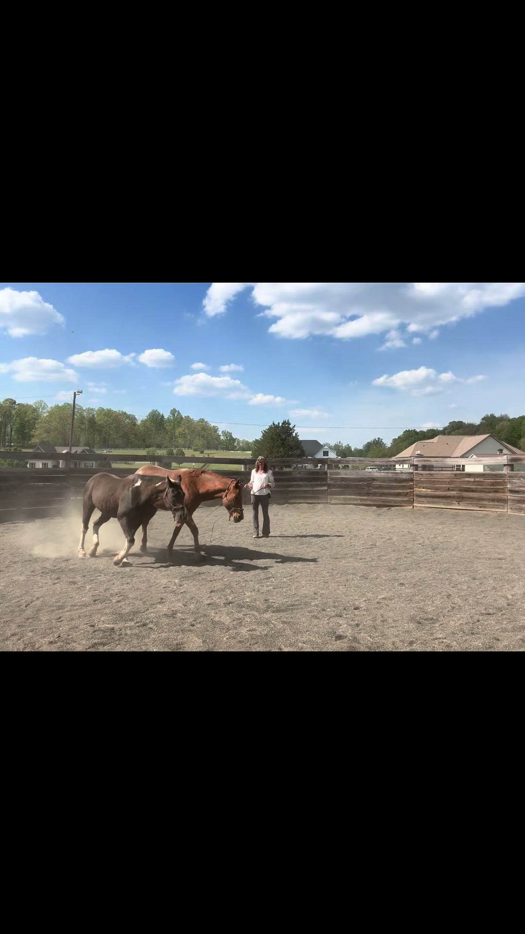 @Janet..Fuzzy.farm.gang