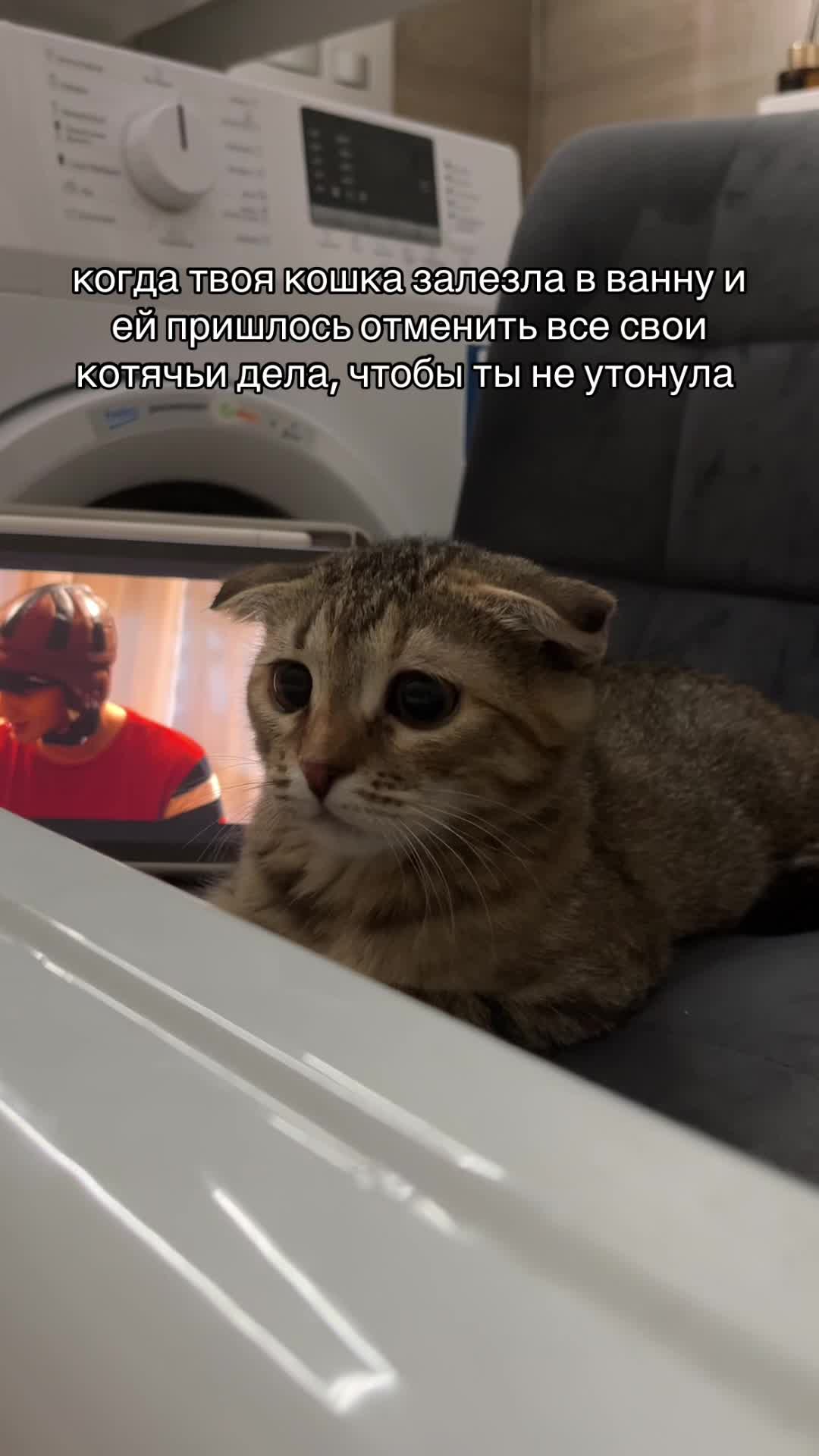 @kotik_unaa