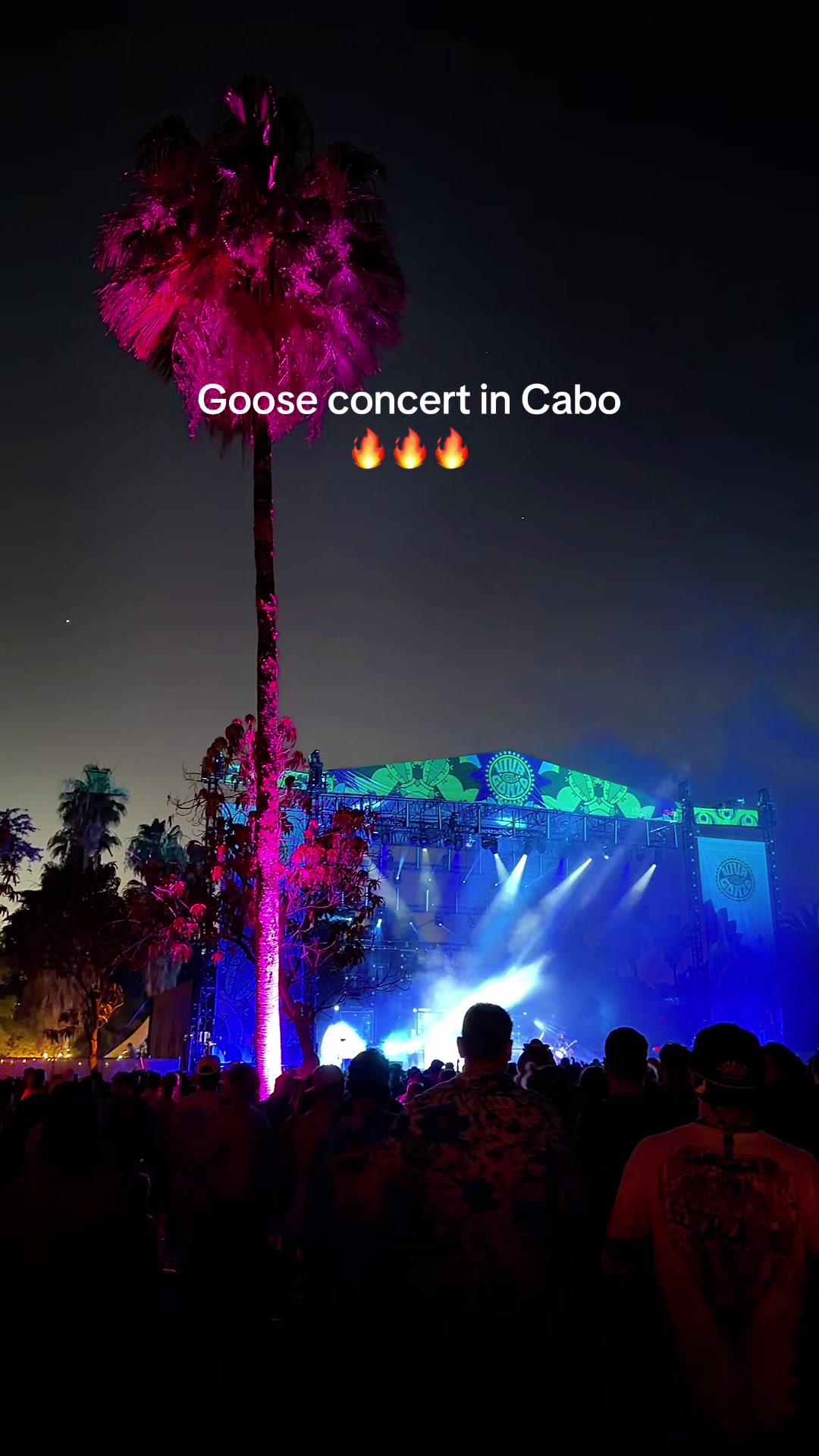 @Cabo