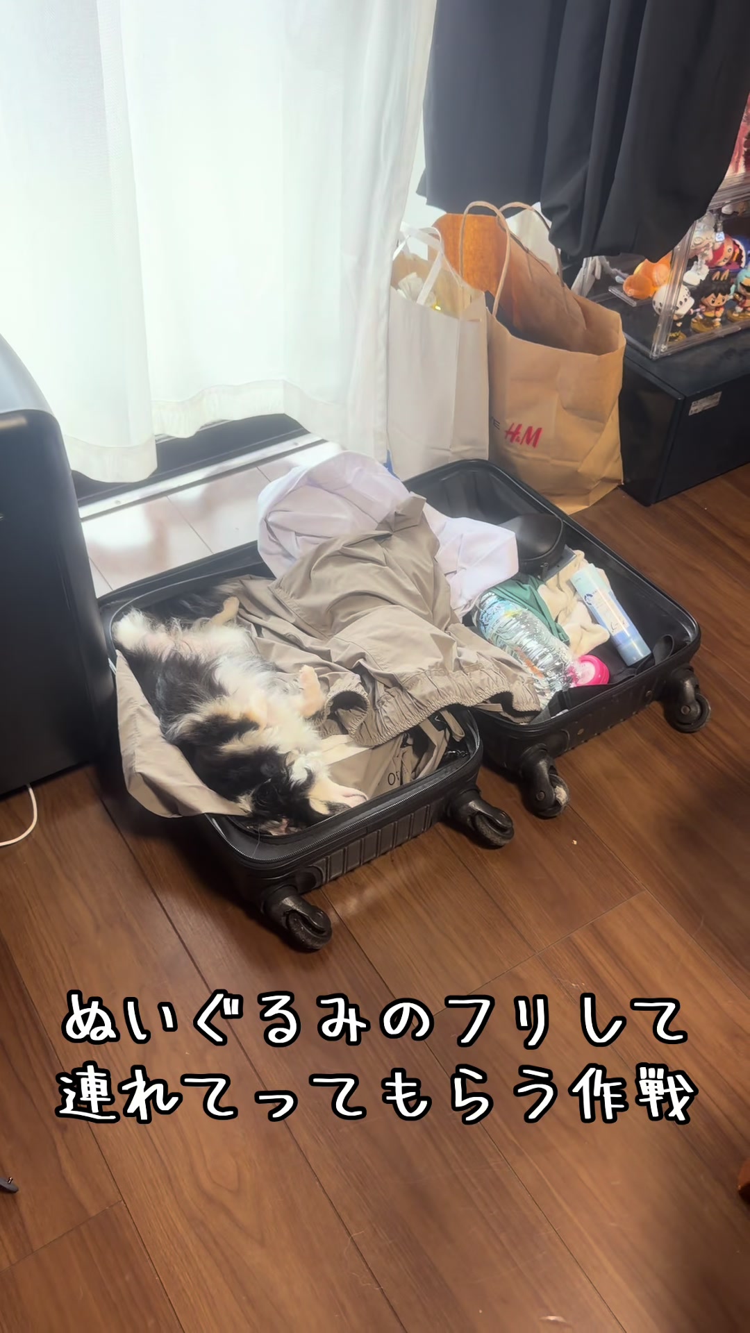 @極悪チワワ