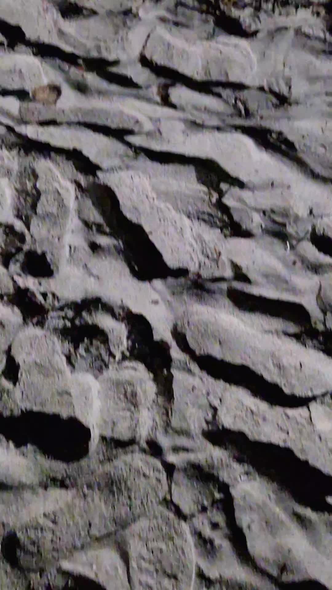 @ā”š±š¦ššįµ§ā”