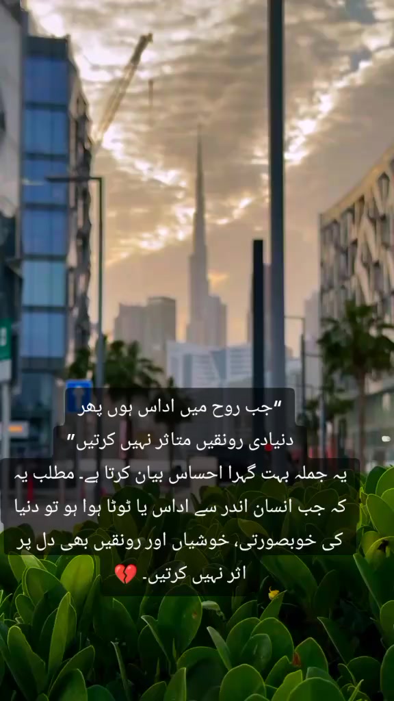 @Saim🫀