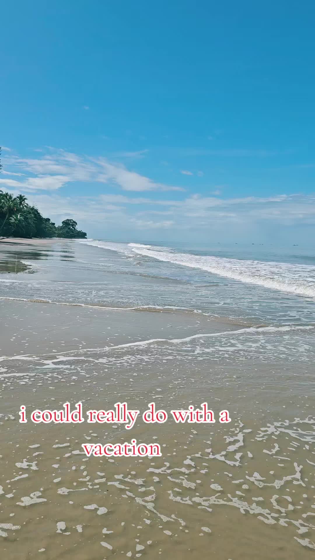 @Sheila Renaud