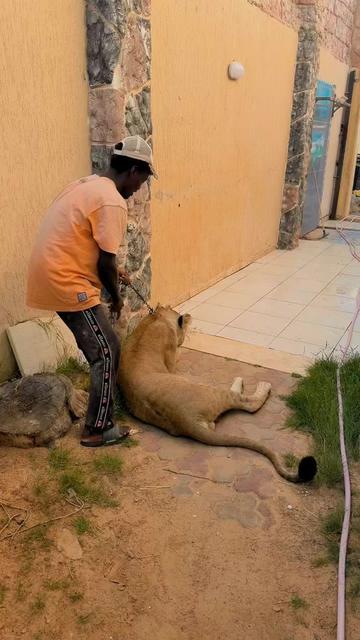 @مؤيد التركي 🐅🐆