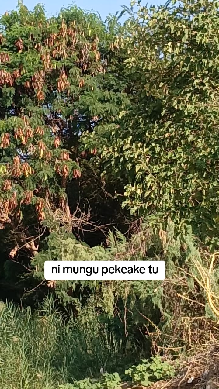 @Randonkish