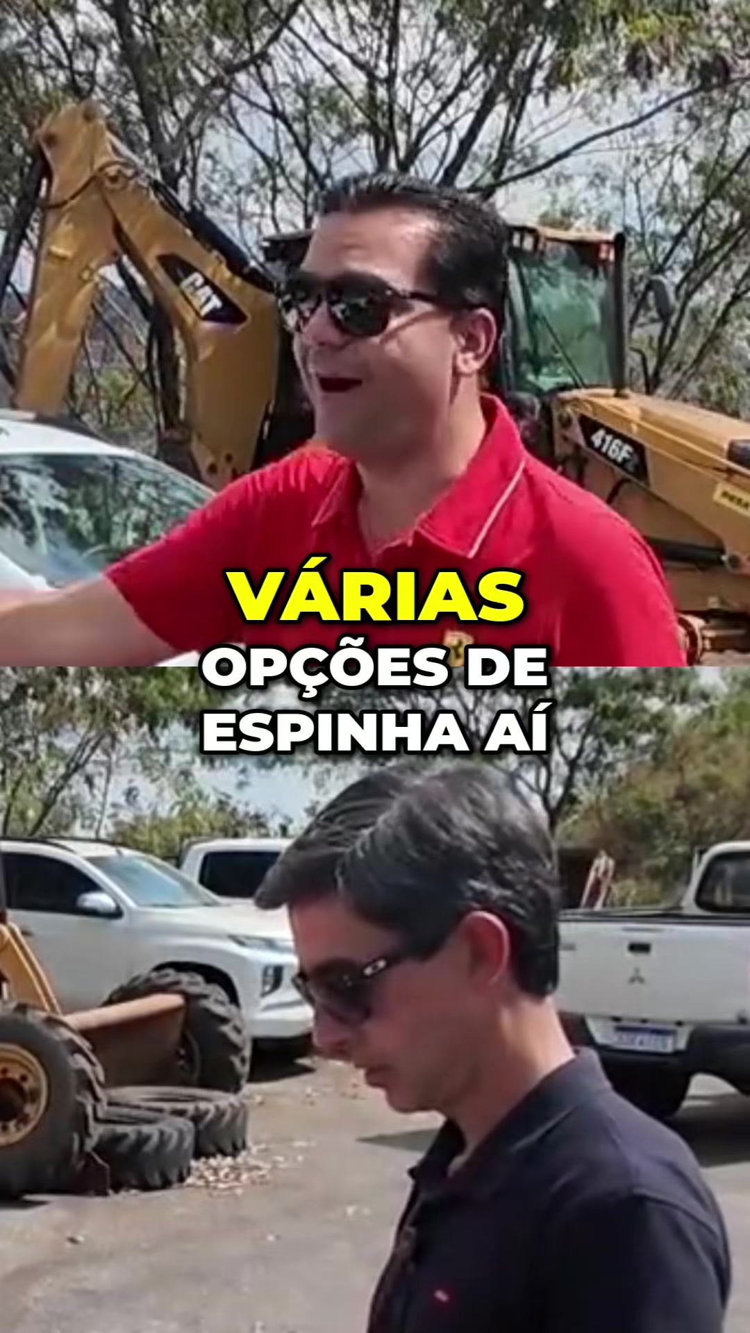 @Cortes tudo sobre Leilao