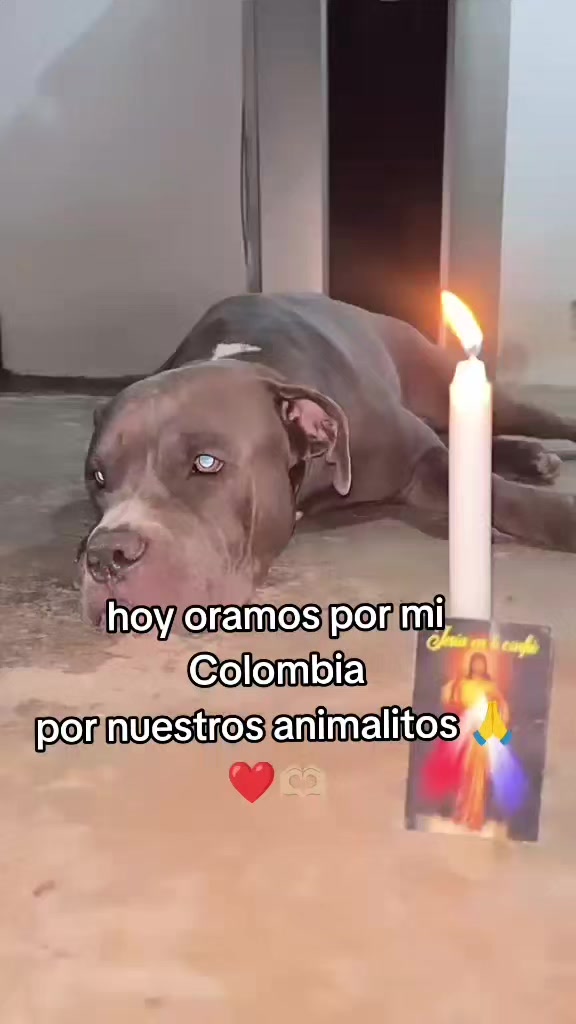 @Angiie Marín🍃❤️