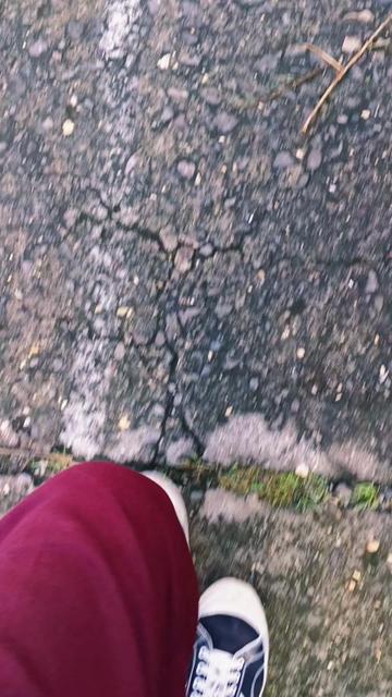 @๐ฆ
