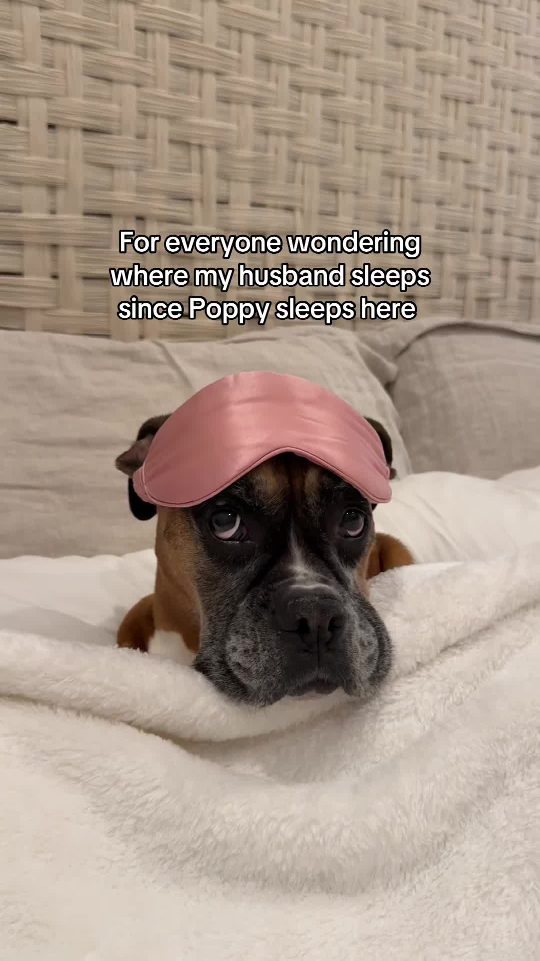 @Princess Poppy