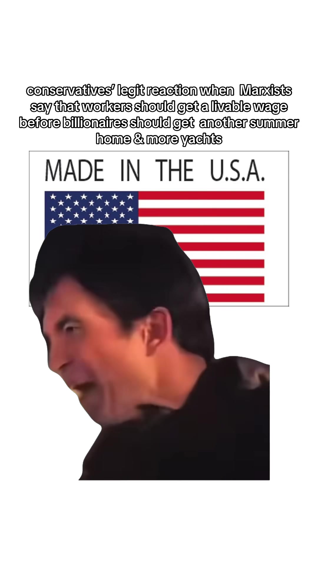 @thejollyleftist☭