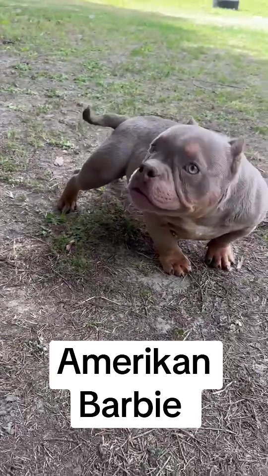 @directedby_sosa