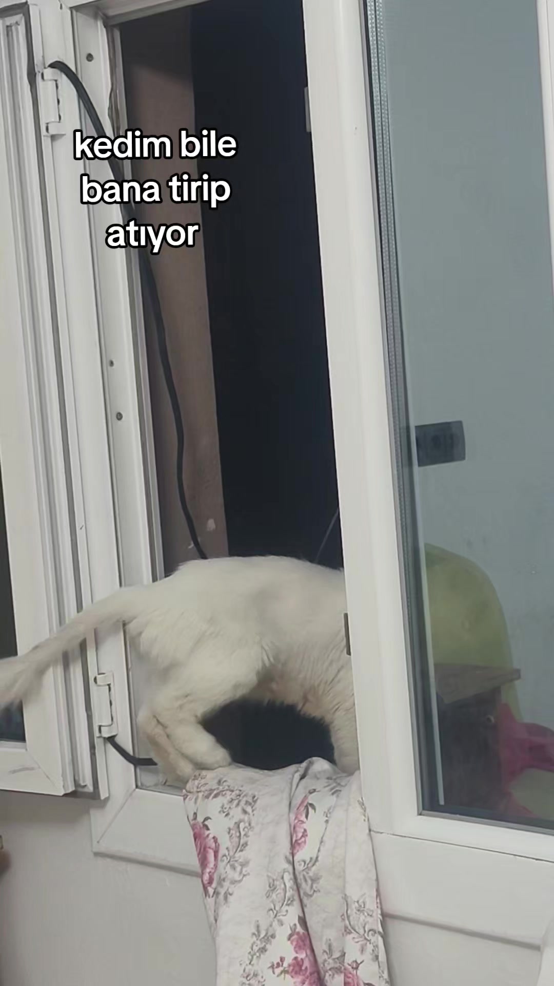 @B&uuml;şra27