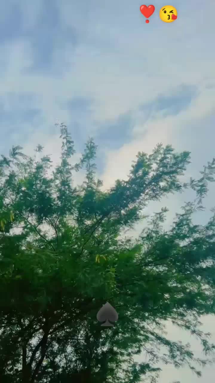 @🦅Bandesha🦅
