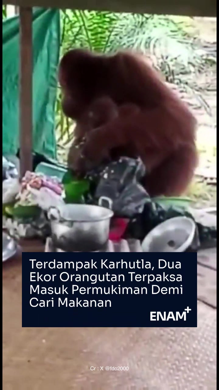 @Enam+