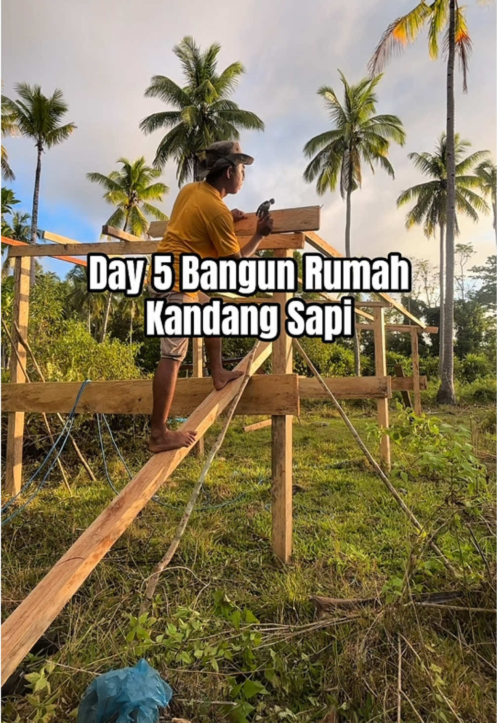 @Ka Bong 🌴