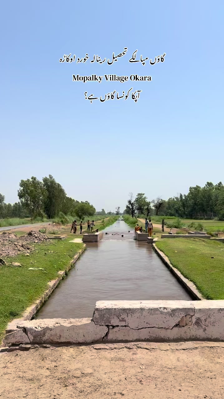 @Zain janjua