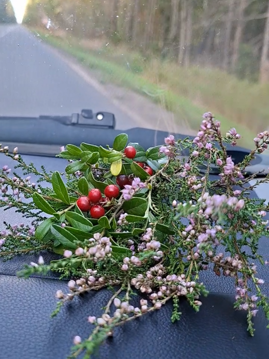 @Ольга
