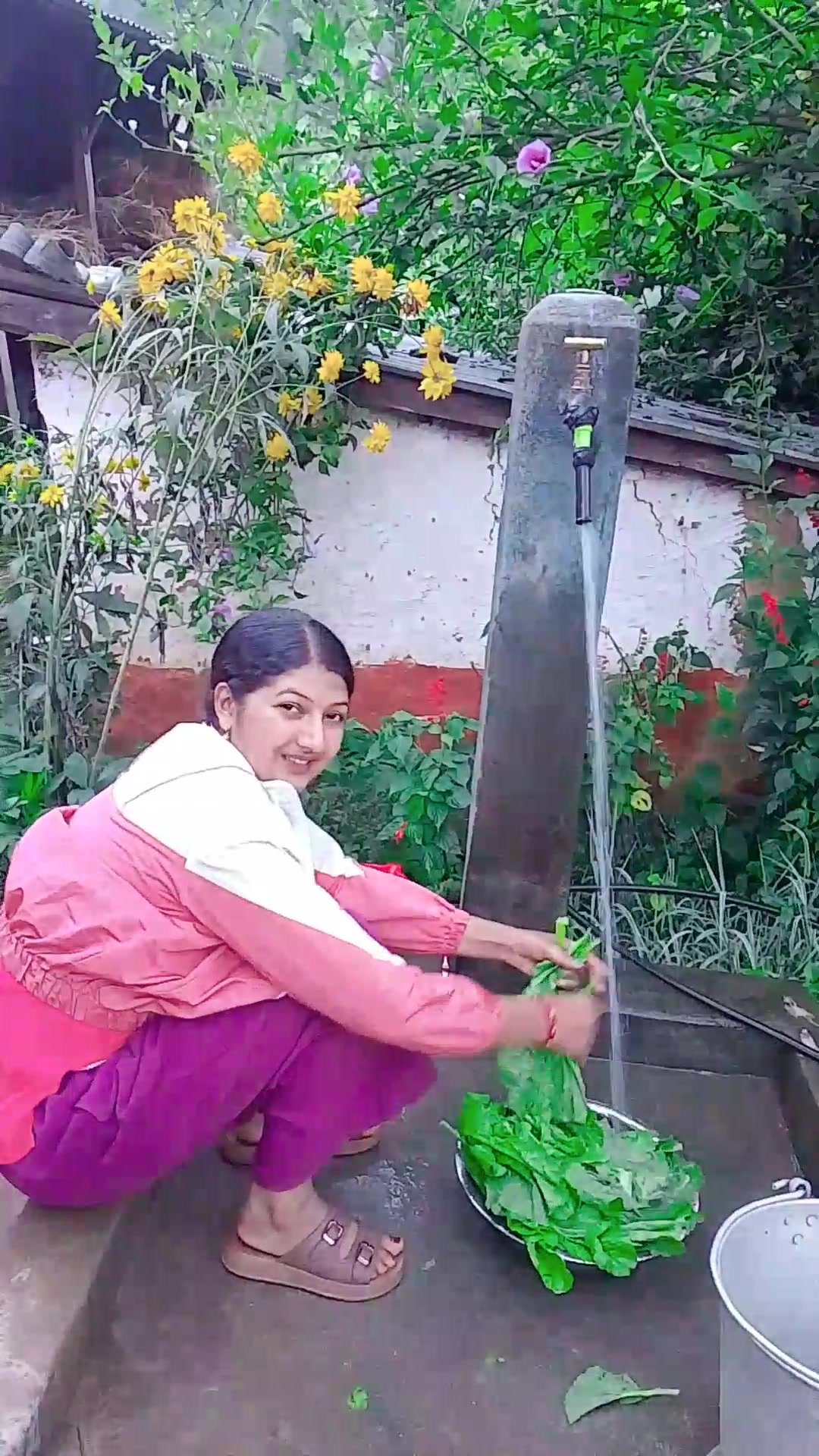 @❤️Mrs.panthi🦚🌸