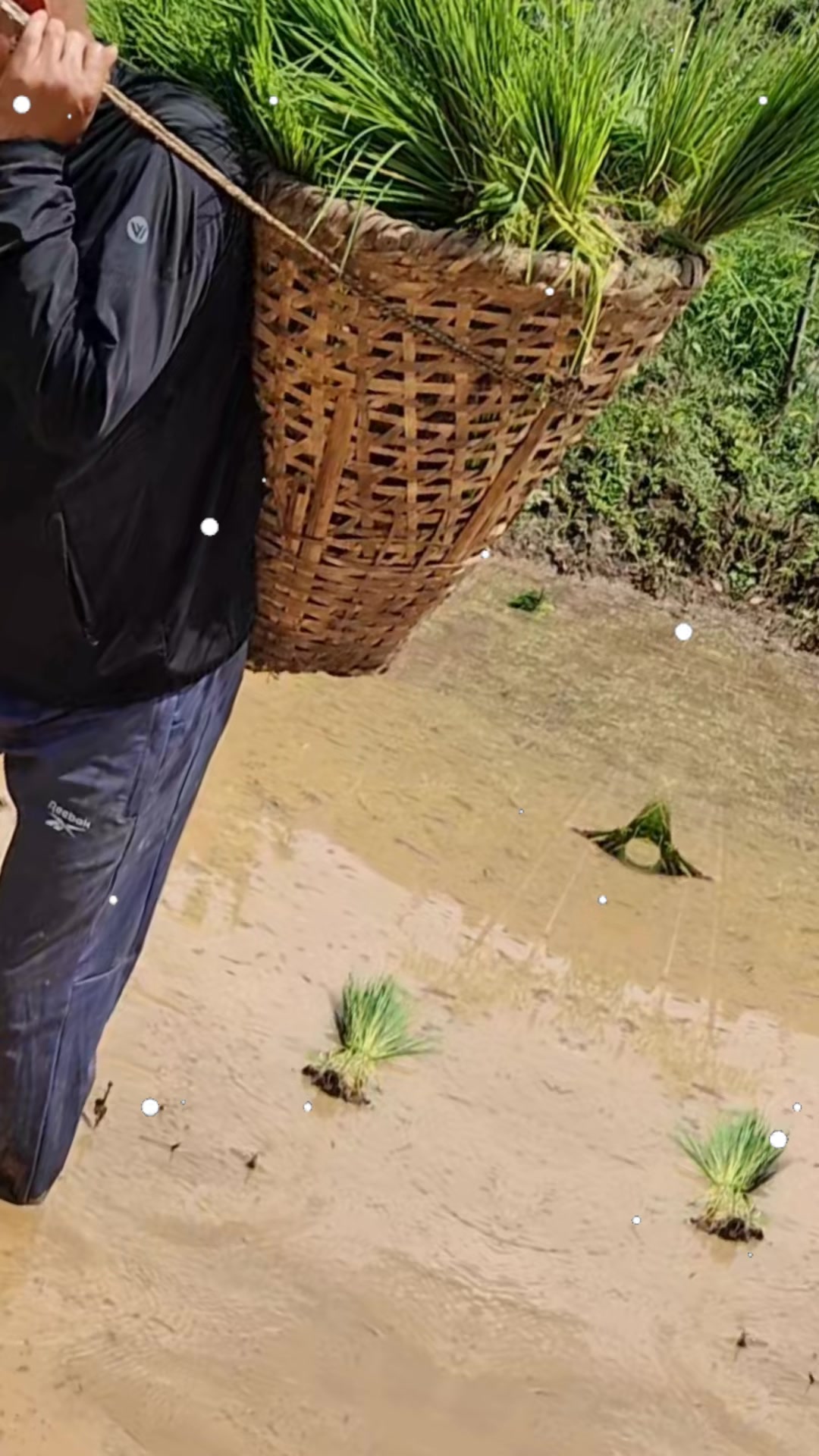 @dilipkumargurung