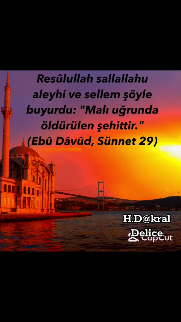 @👑kral3460Delice👑
