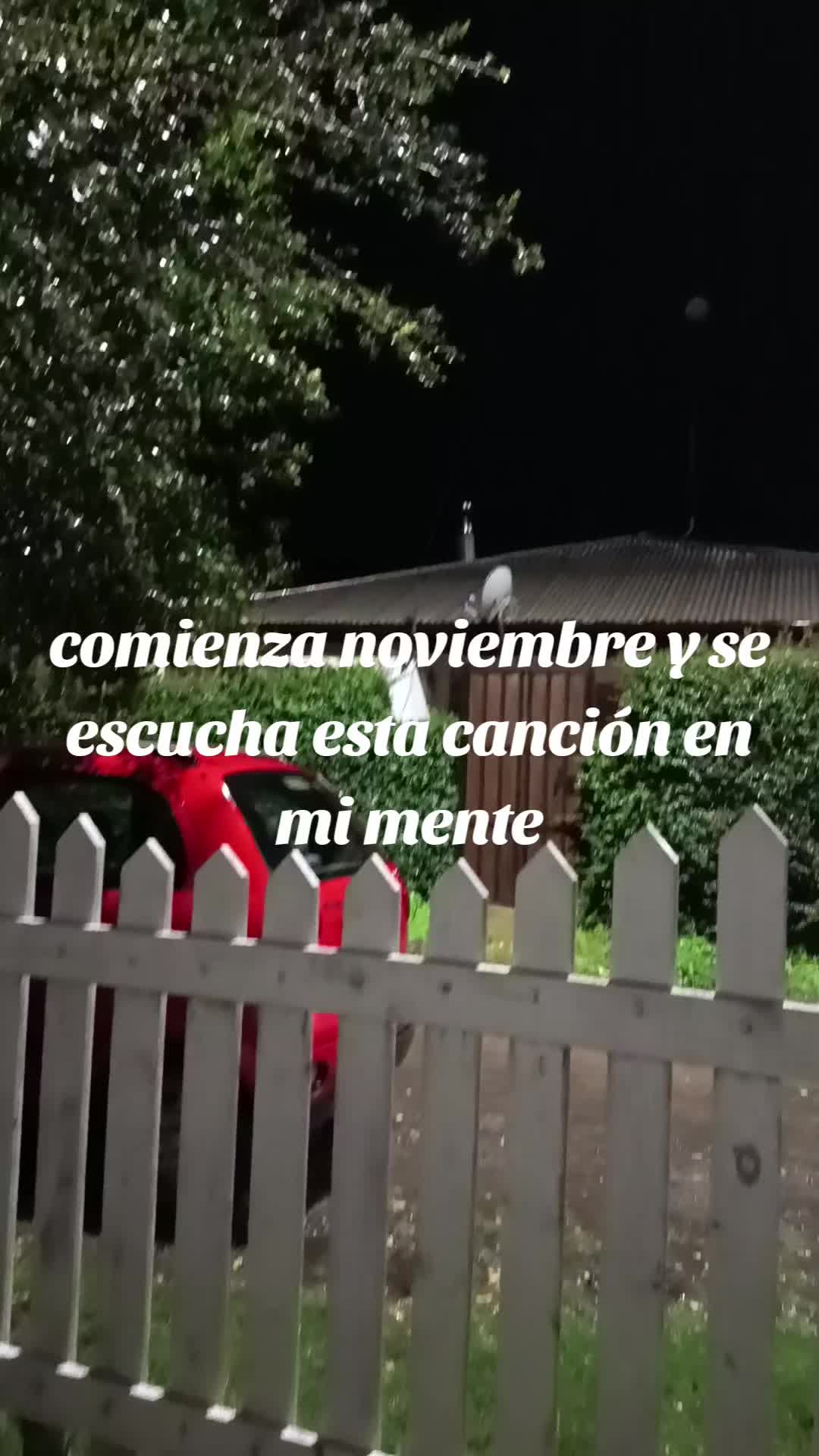 @Fernanda Daniela Piz
