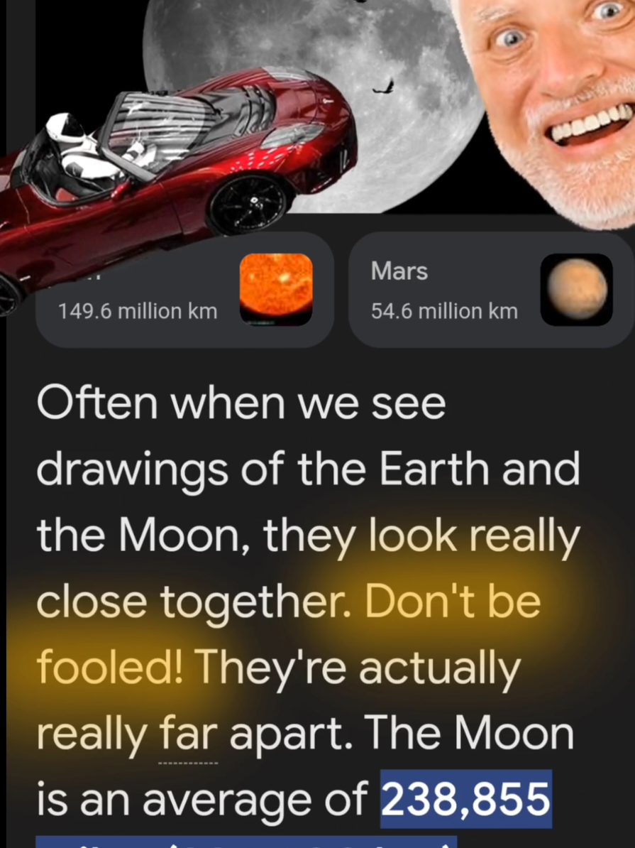 @FLAT Earth2022