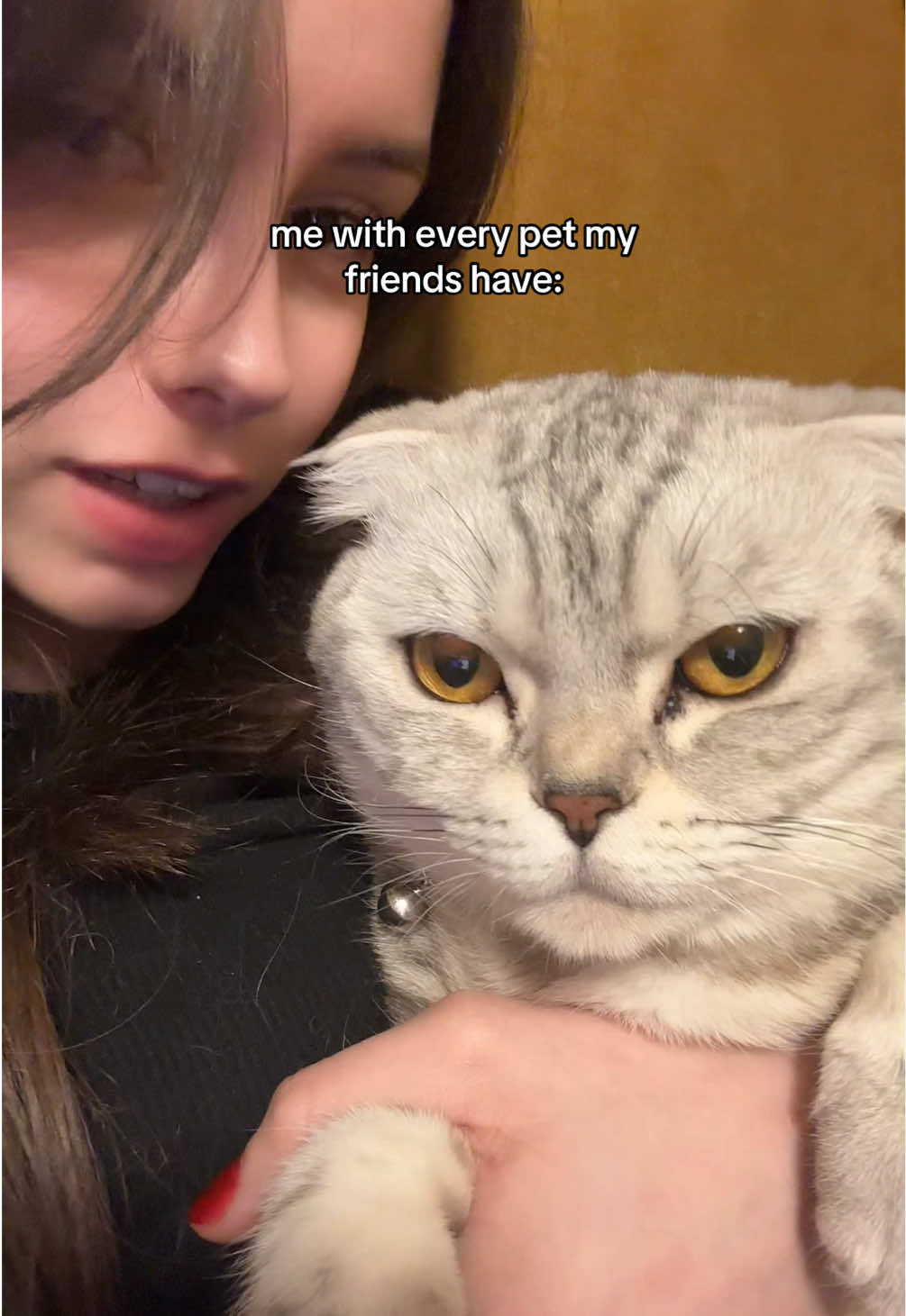 @laura