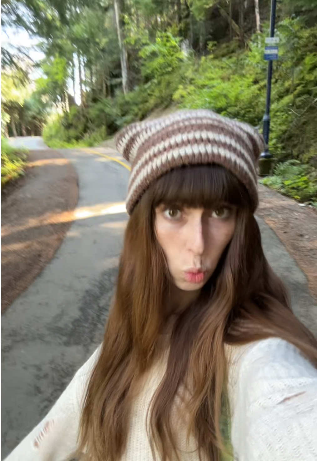@Thetransfairy