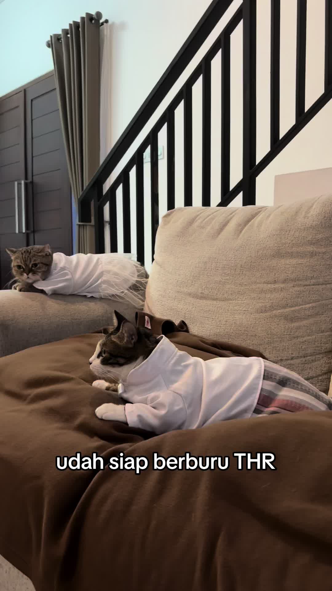 @OxaliStore