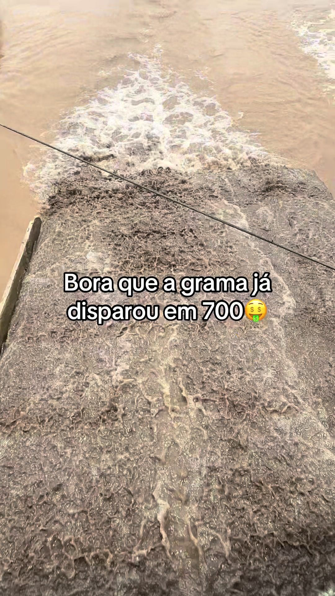 @Juh Rodrigues🧚🏻♀️💎
