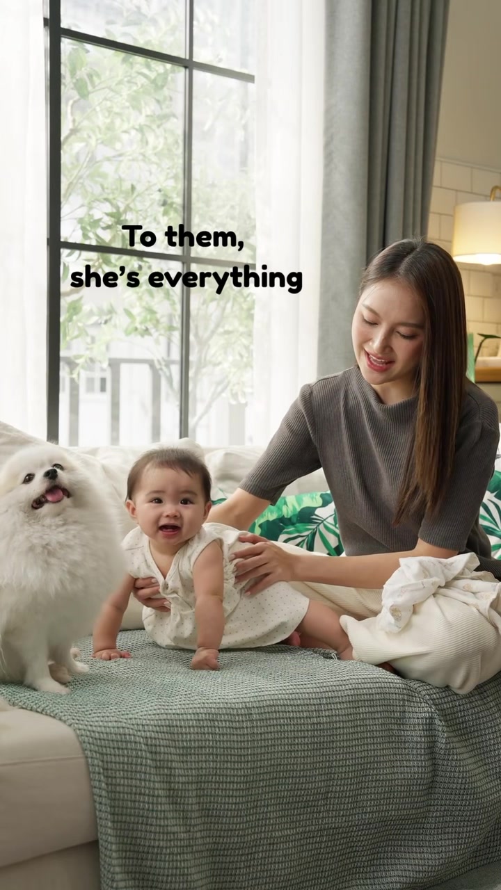 @Petworks.com