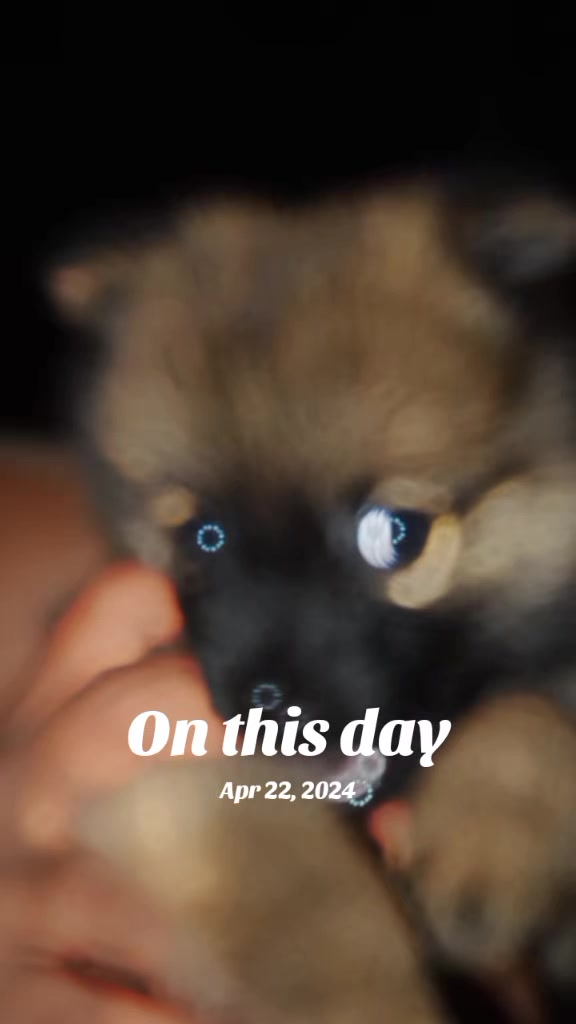 @🥰🐕Dog lover🐕🥰