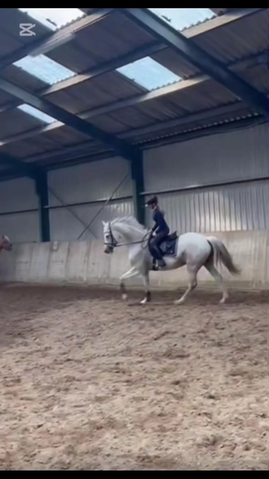 @Equi Roosje🇳🇱