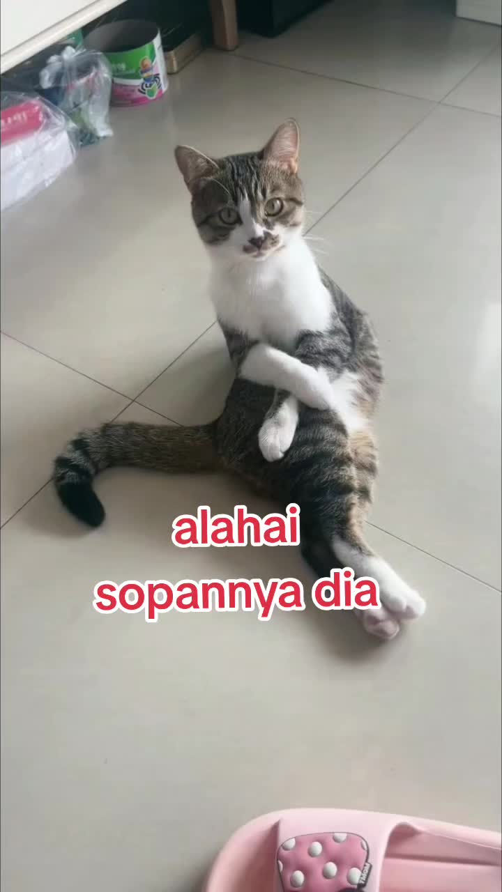 @izuanzainal