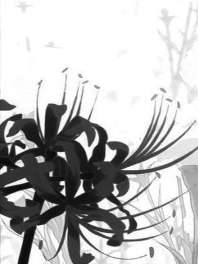 @◜ ͡     ֺ۪𓏼   Isaac 𓏲 (kayu)