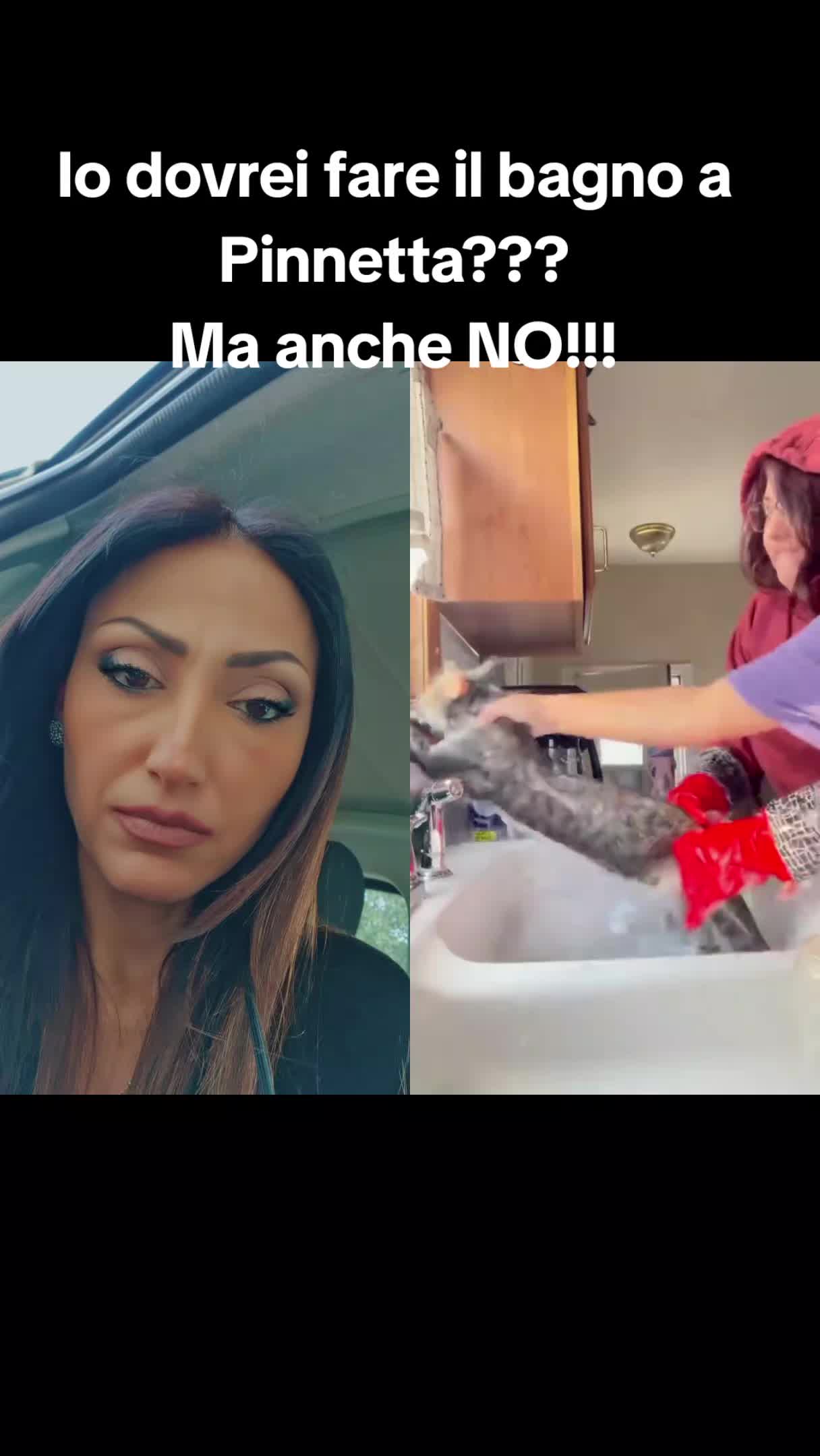 @Jenny Statini