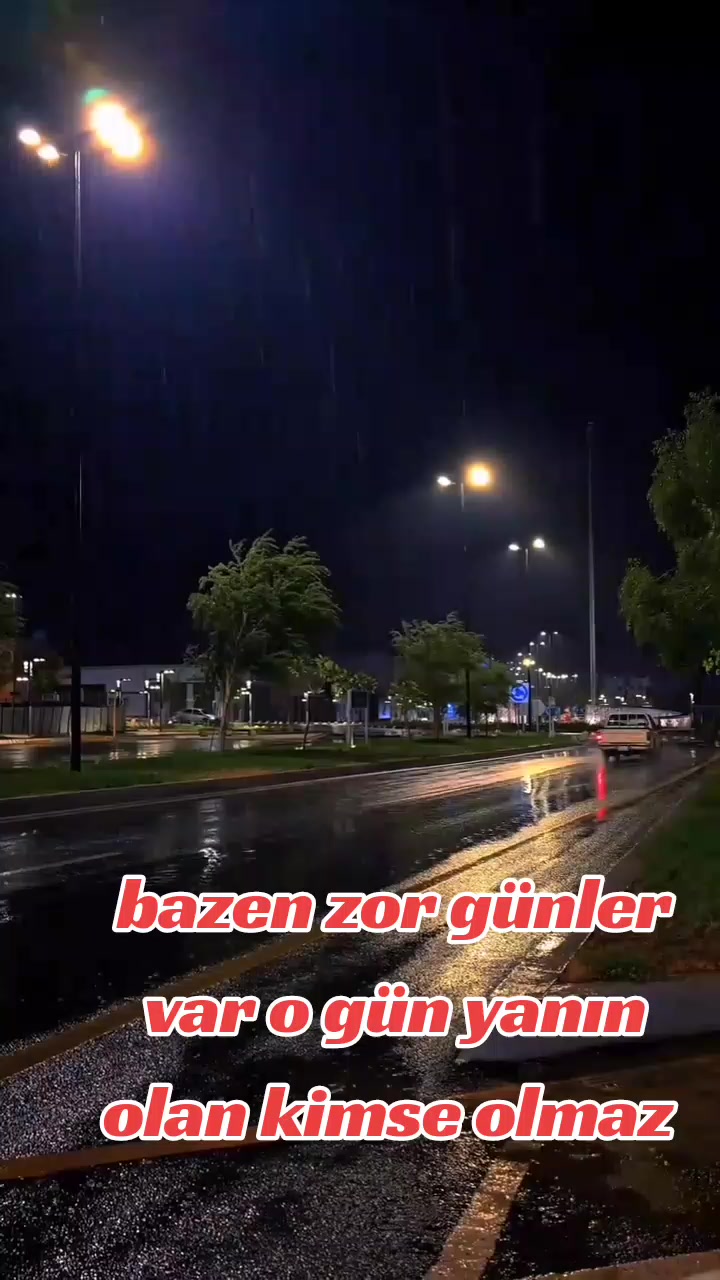 @nefretimsin dünya