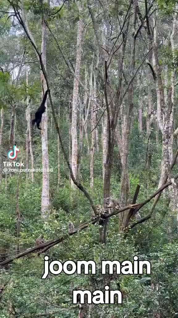 @arulalfan8