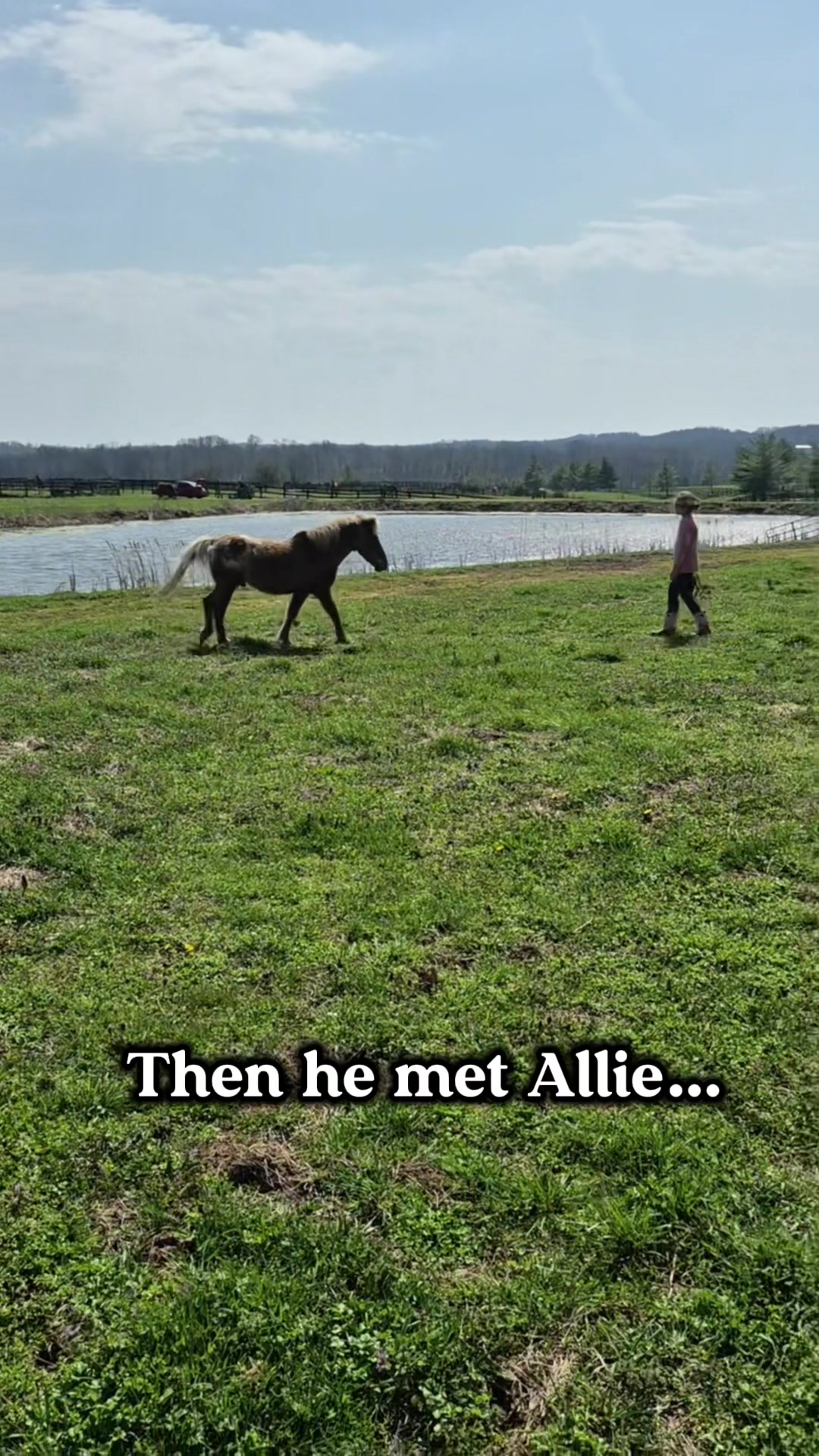 @MS Horse Rescue