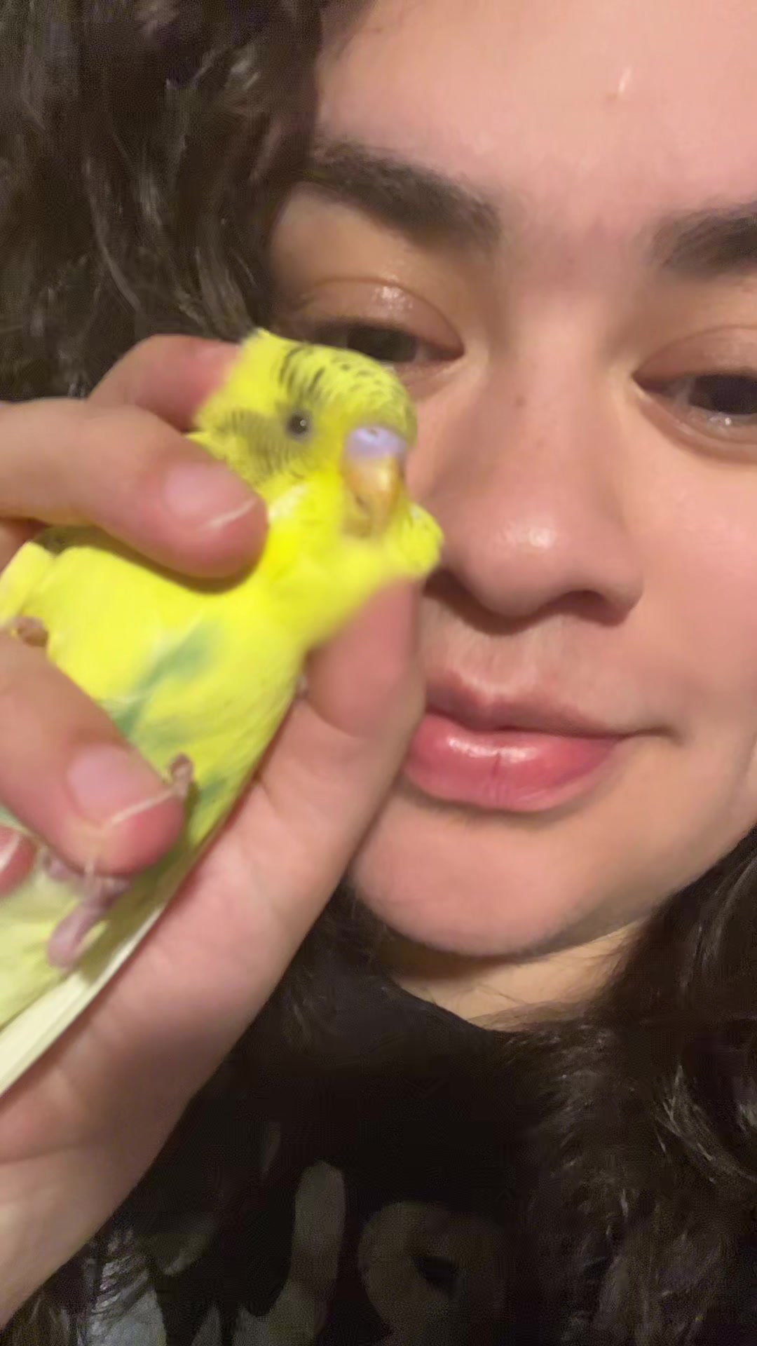 @PikaBoo & Friends 🦜