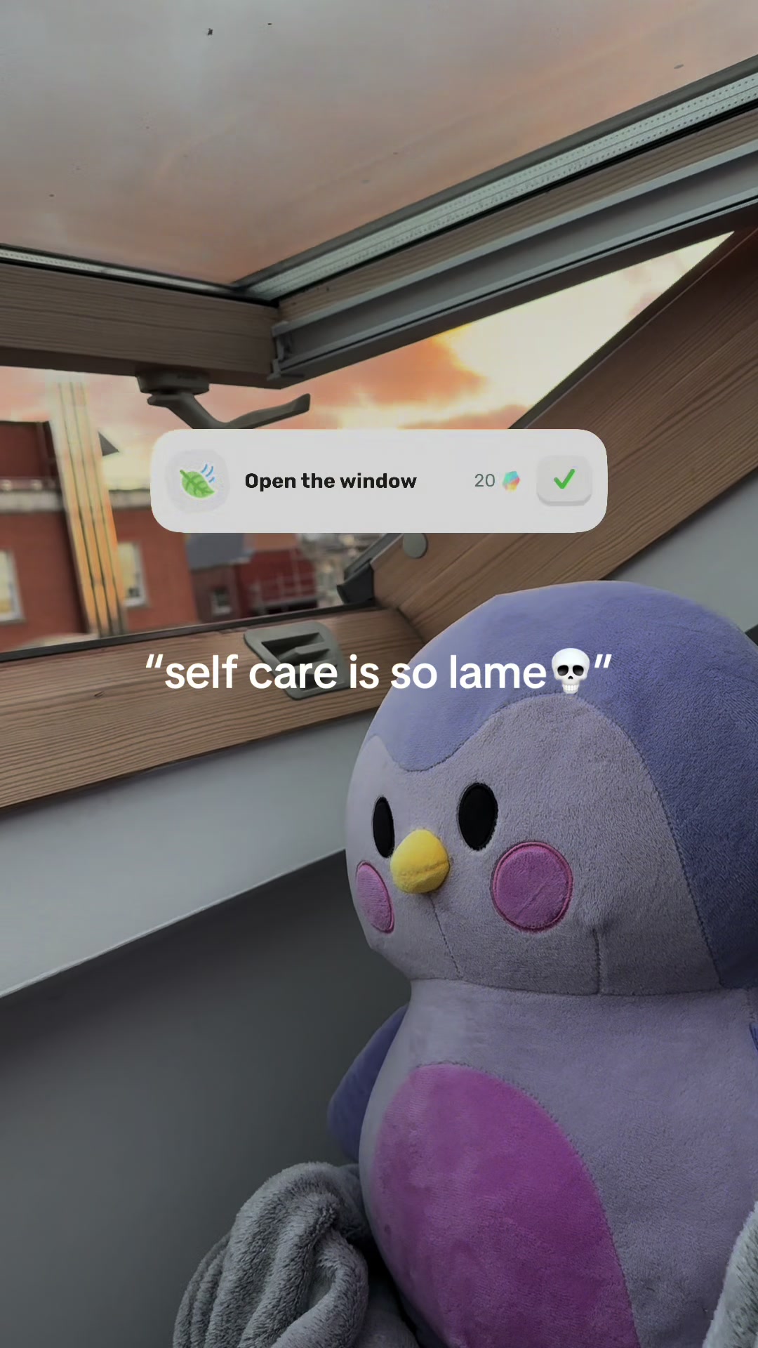 @Finchcare 🐣