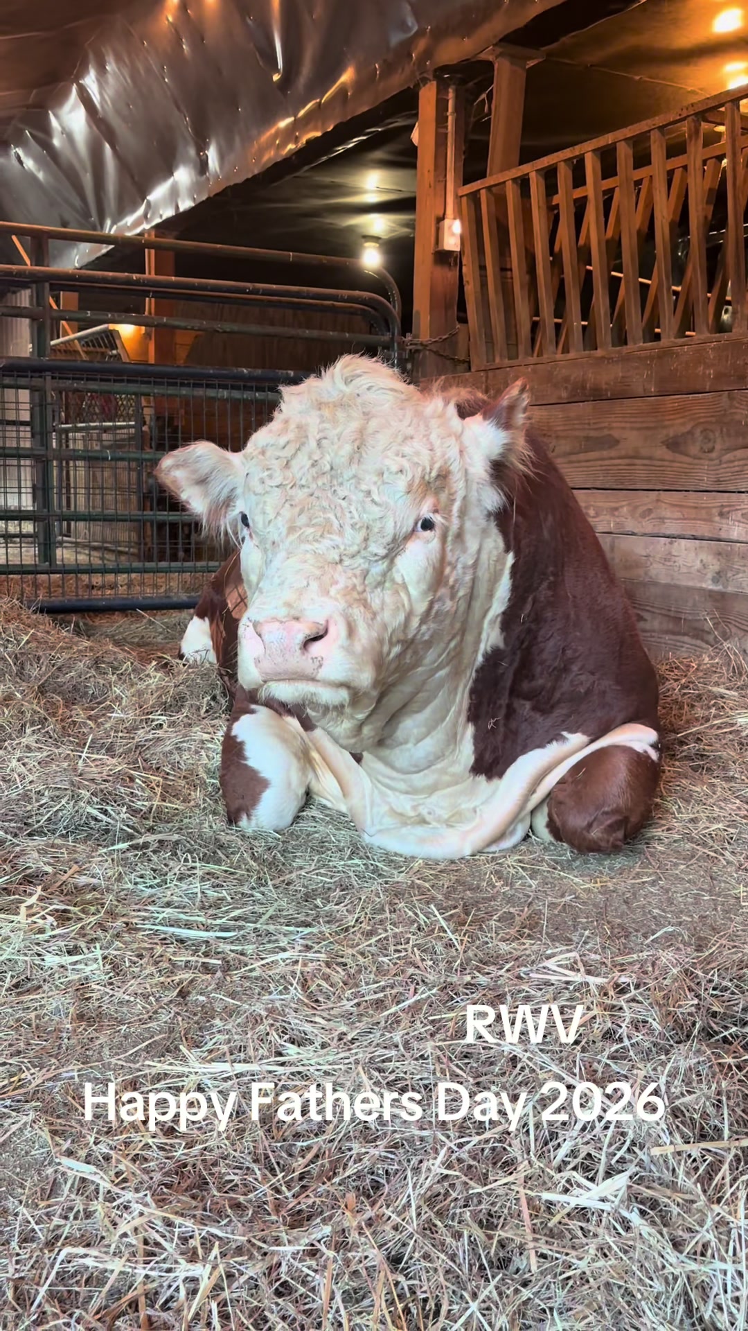 @RWV Land & Livestock