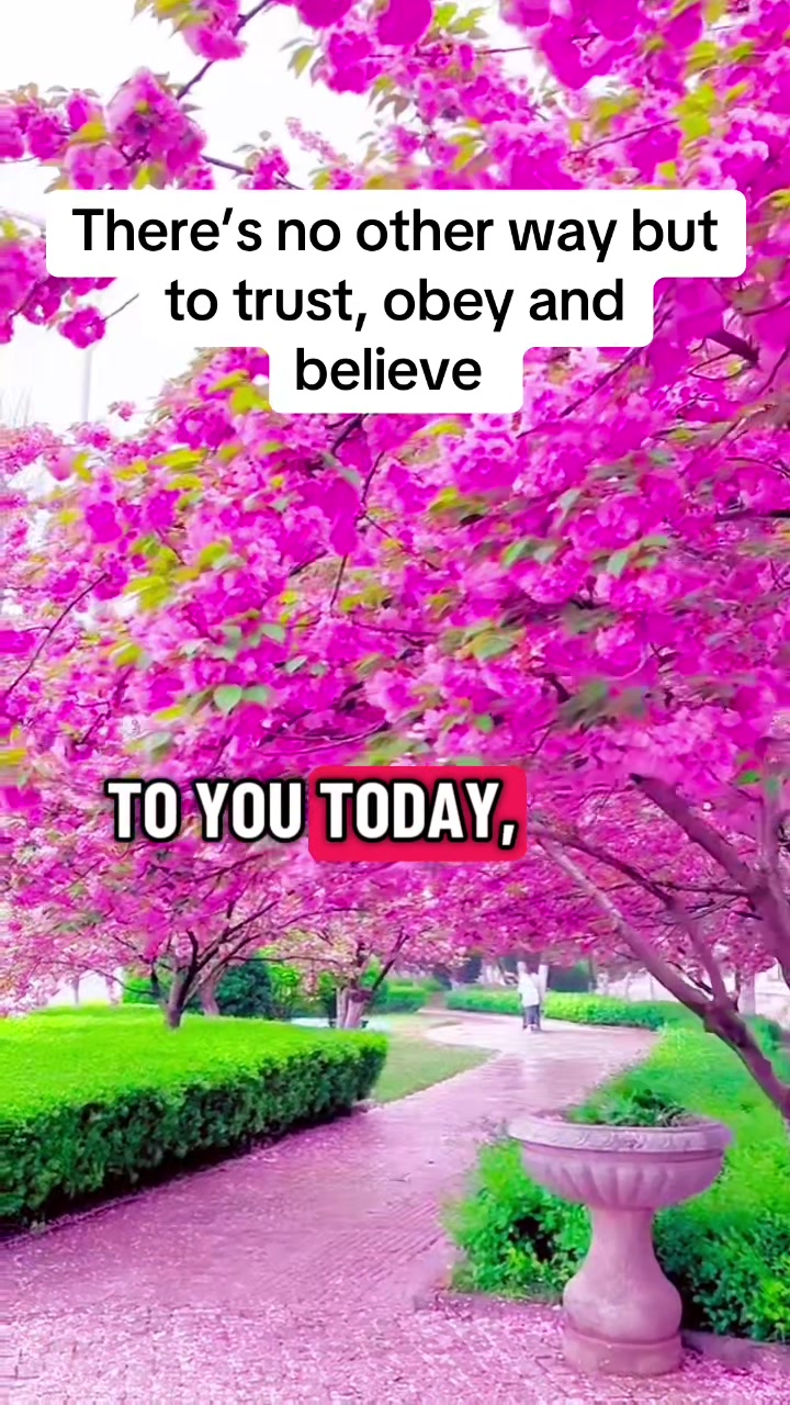 @kye