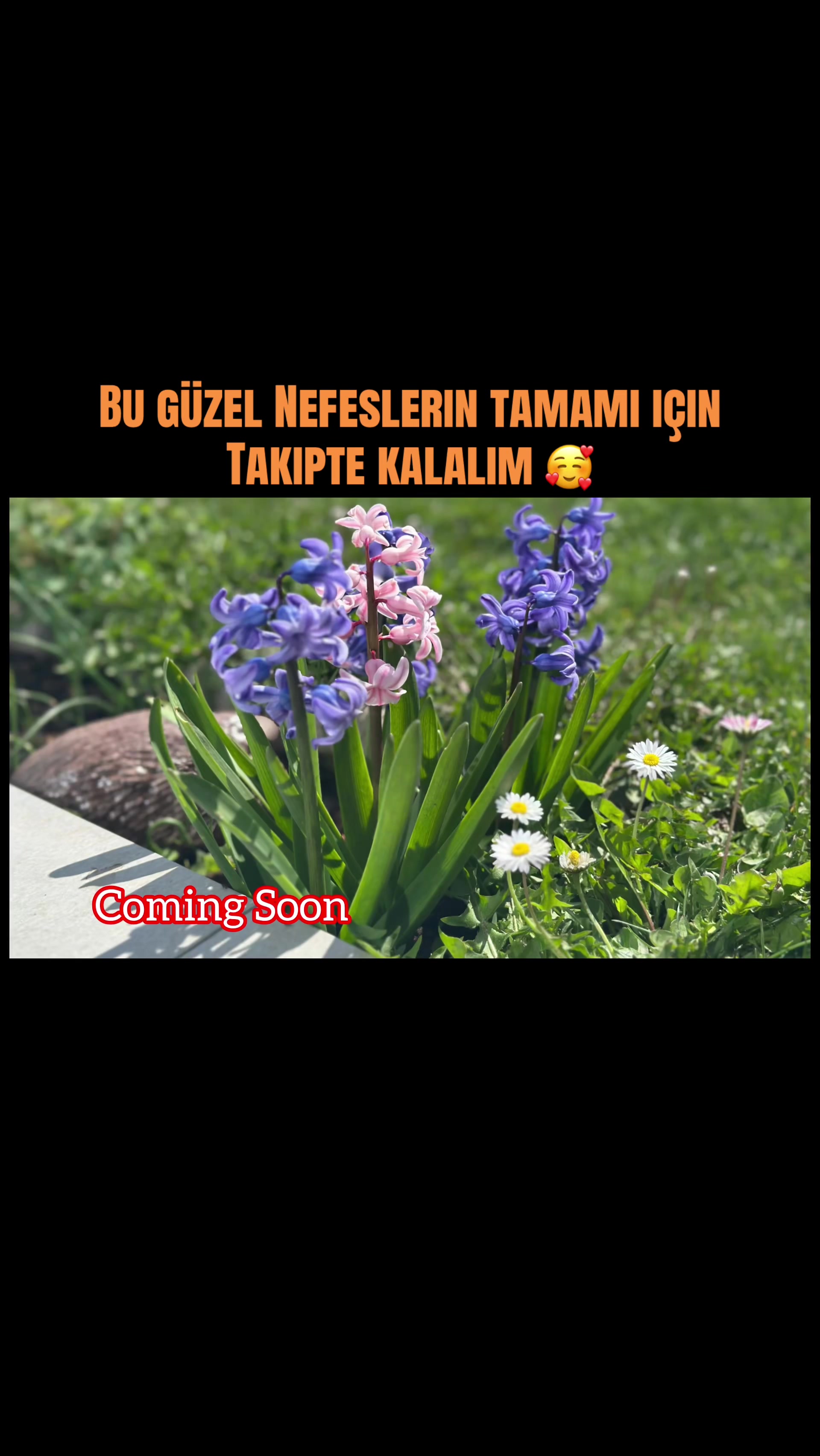 @Tinyabalı